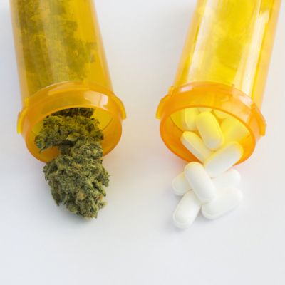 Construction ostracizes marijuana while building solutions to retain opioid abusers